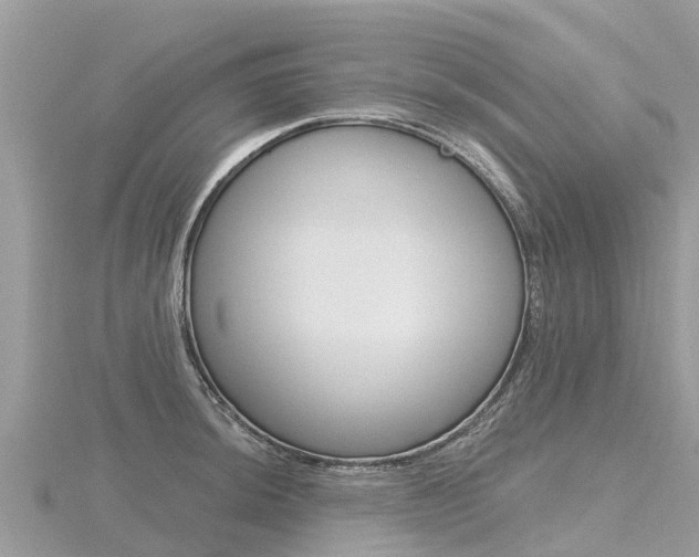 X0000116491044200912090943