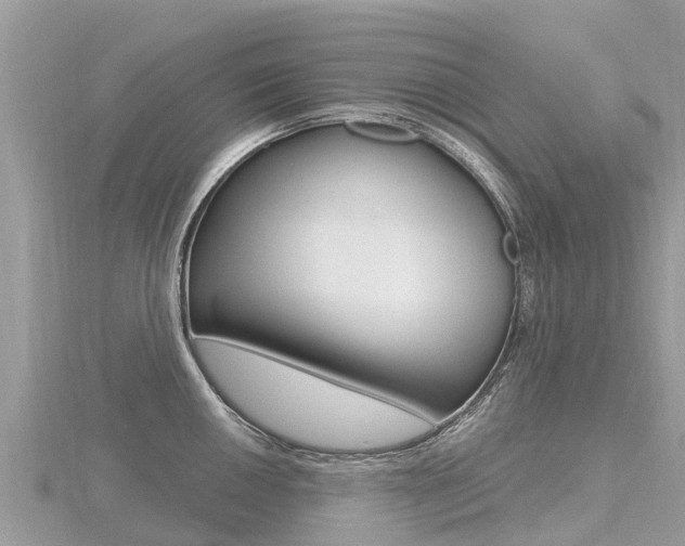 X0000116491050200912090943