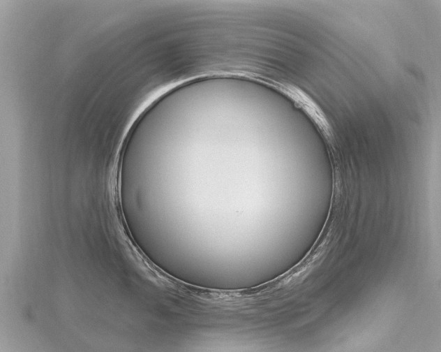 X0000116491052200912090943