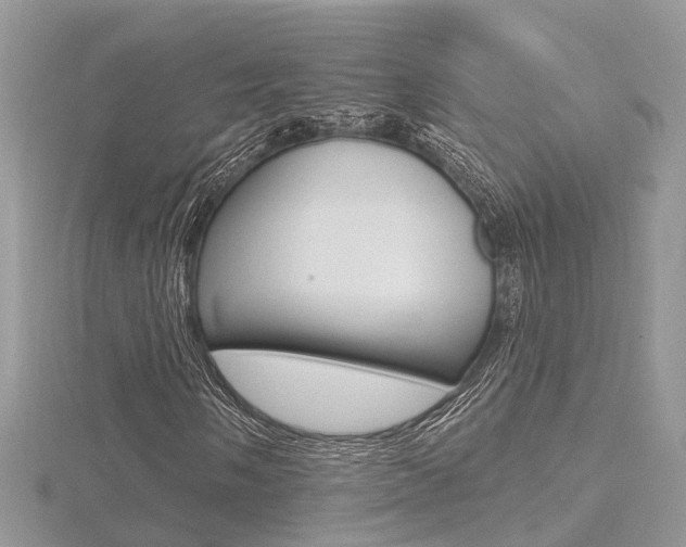 X0000116491058200912090943