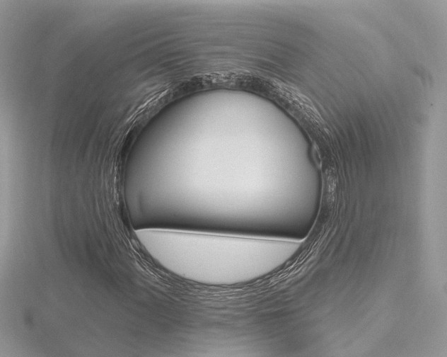 X0000116491060200912090943
