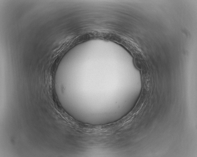 X0000116491061200912090943