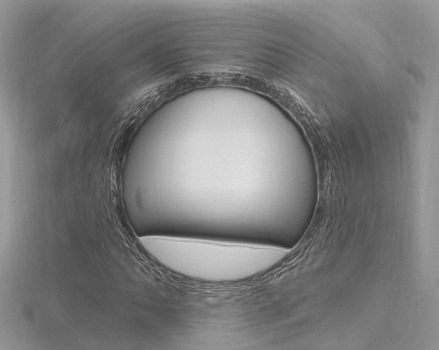 X0000116491062200912090943