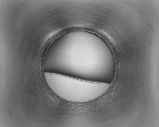 X0000116491064200912090943