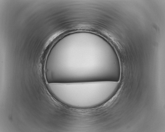 X0000116491066200912090943