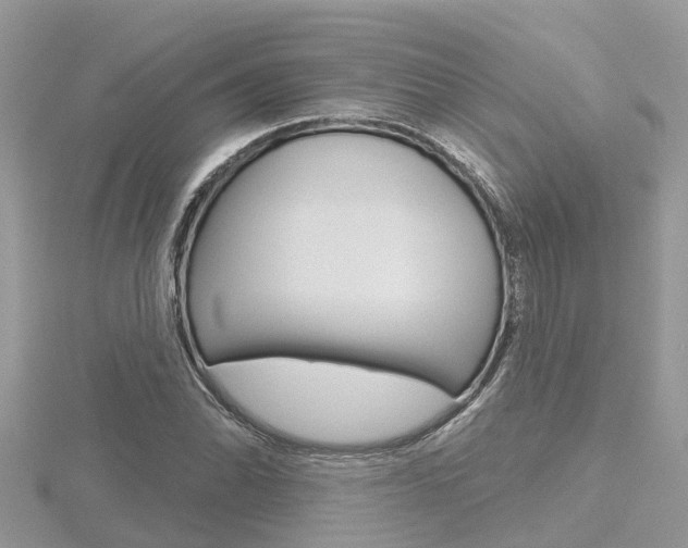 X0000116491070200912090943