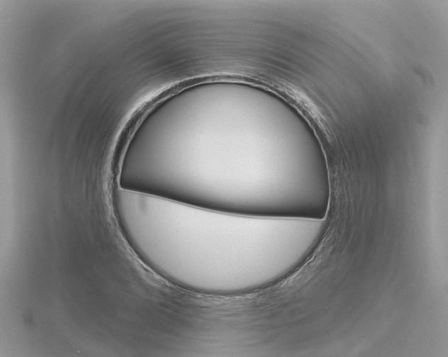 X0000116491072200912090943