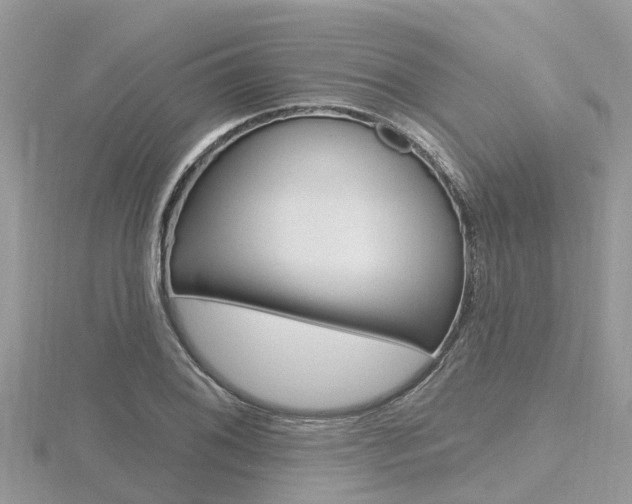 X0000116491076200912090942