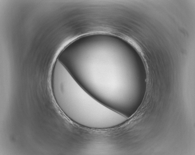 X0000116491104200912090942