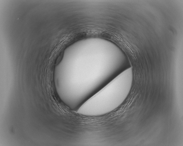 X0000116491153200912090941