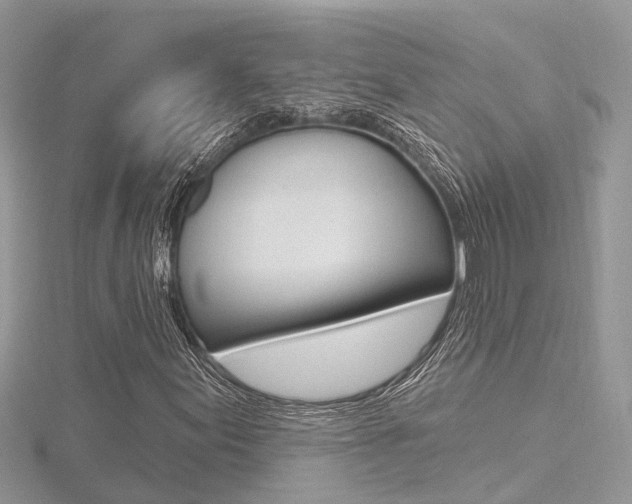 X0000116491155200912090941