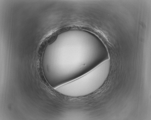 X0000116491159200912090941