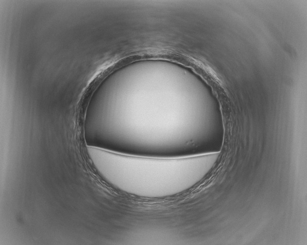 X0000116491160200912090941
