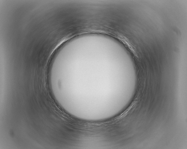 X0000116491165200912090941