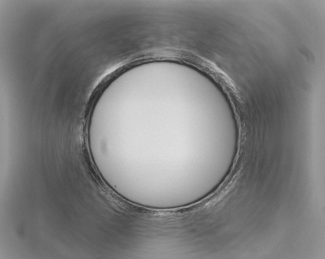 X0000116491166200912090941