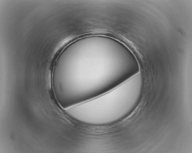 X0000116491171200912090941