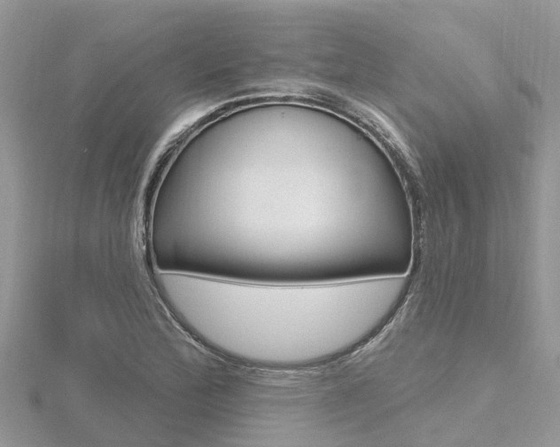 X0000116491172200912090941