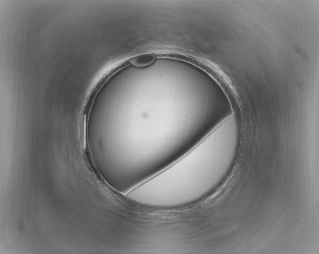 X0000116491175200912090941