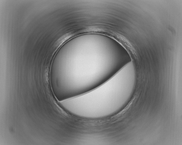 X0000116491177200912090941