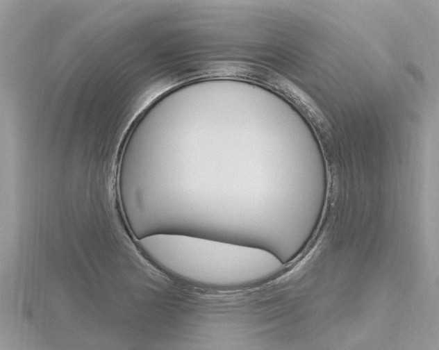 X0000116491178200912090941