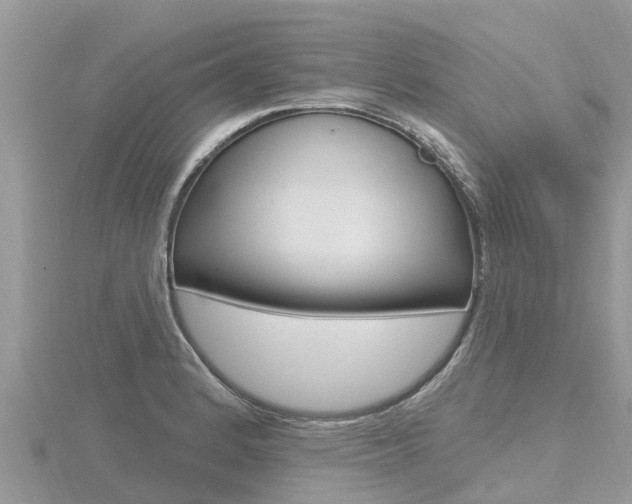 X0000116491184200912090941