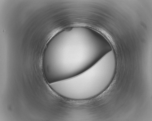X0000116491193200912090941