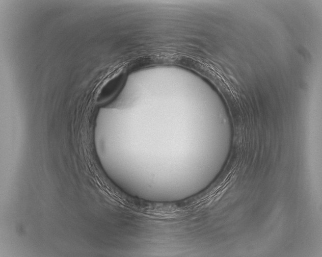 X0000116491201200912090940