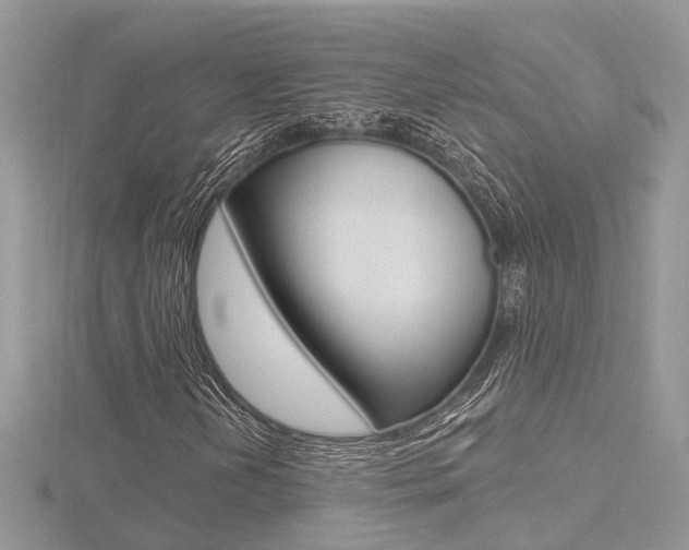 X0000116491202200912090940