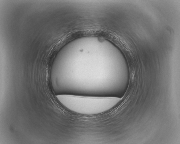 X0000116491204200912090940