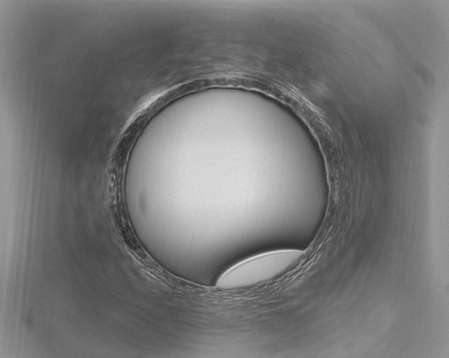 X0000116491208200912090940