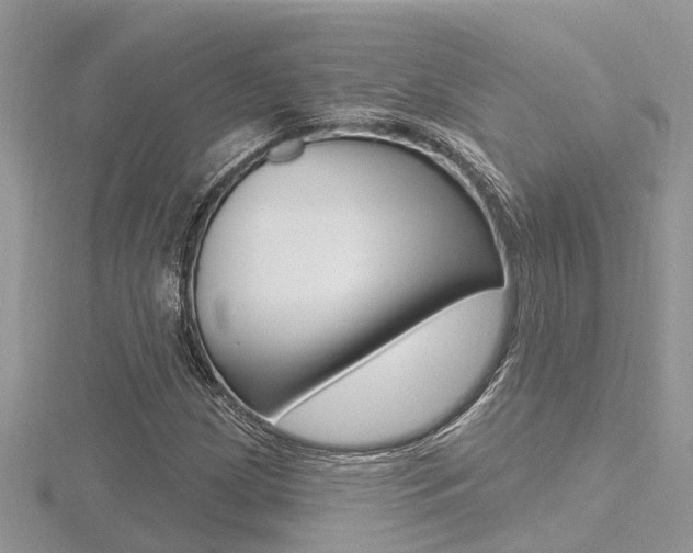 X0000116491209200912090940
