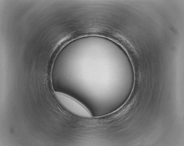 X0000116491210200912090940