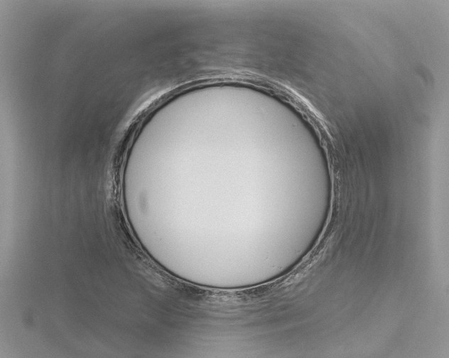 X0000116491215200912090940