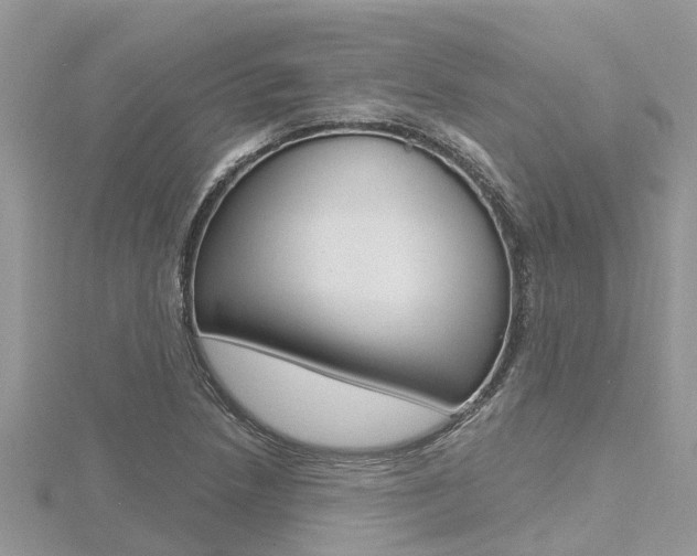 X0000116491218200912090941