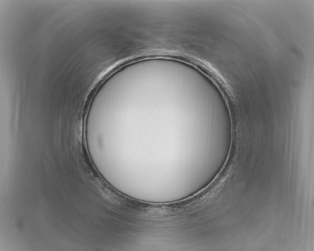 X0000116491220200912090941