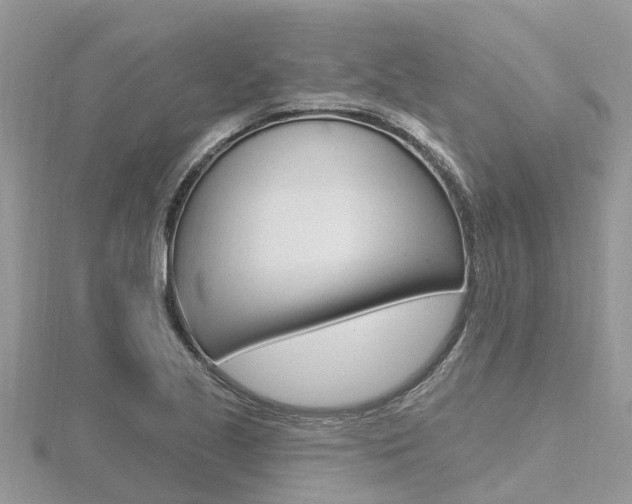 X0000116491221200912090941