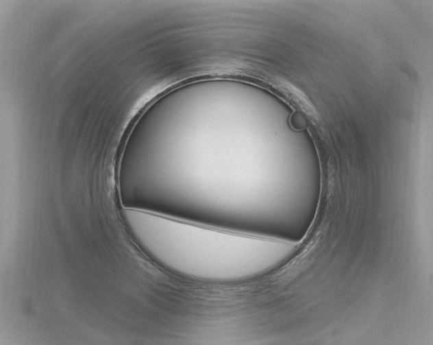 X0000116491226200912090941