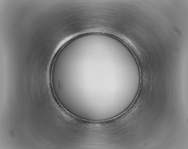 X0000116491230200912090941
