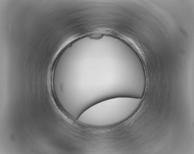 X0000116491235200912090941