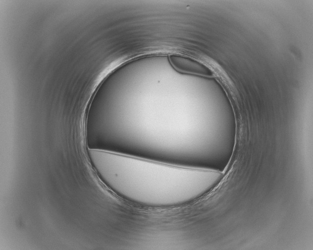 X0000116491242200912090941