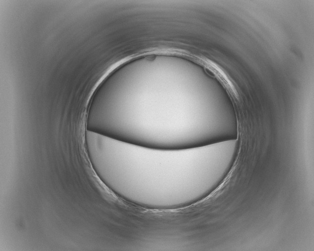 X0000116491244200912090941