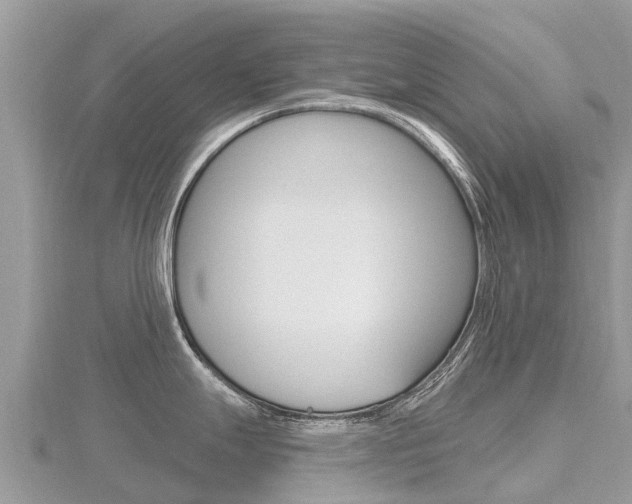 X0000116491247200912090941