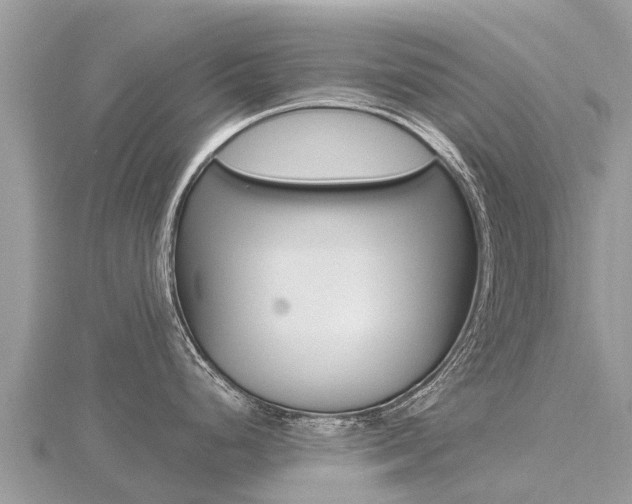 X0000116491248200912090941