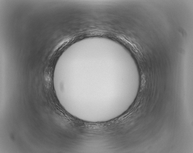 X0000116491254200912090940