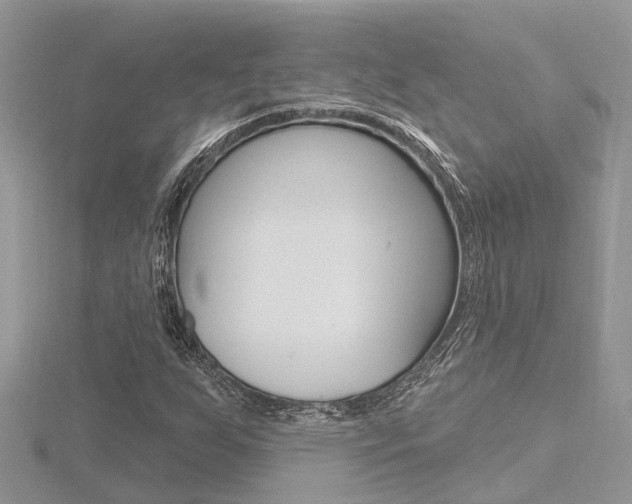 X0000116491255200912090940