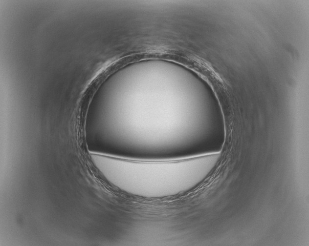 X0000116491256200912090940