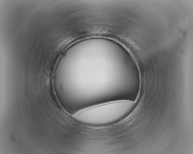 X0000116491257200912090940