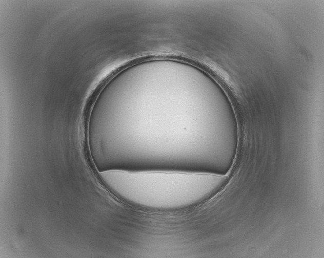 X0000116491270200912090940