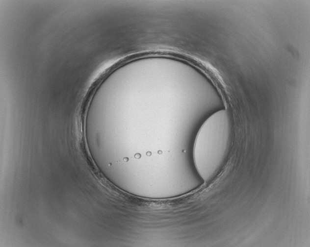 X0000116491271200912090940