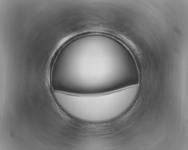 X0000116491272200912090940